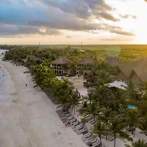 Lirios Tulum Pueblo